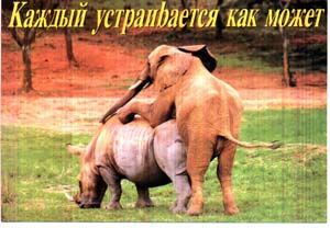 фотоприкол