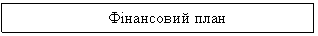 Text Box: Фінансовий план