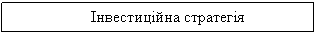 Text Box: Інвестиційна стратегія