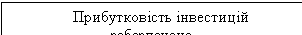 Text Box: Прибутковість інвестицій забезпечена