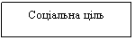 Text Box: Соціальна ціль