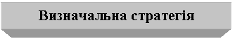 Text Box: Визначальна стратегія